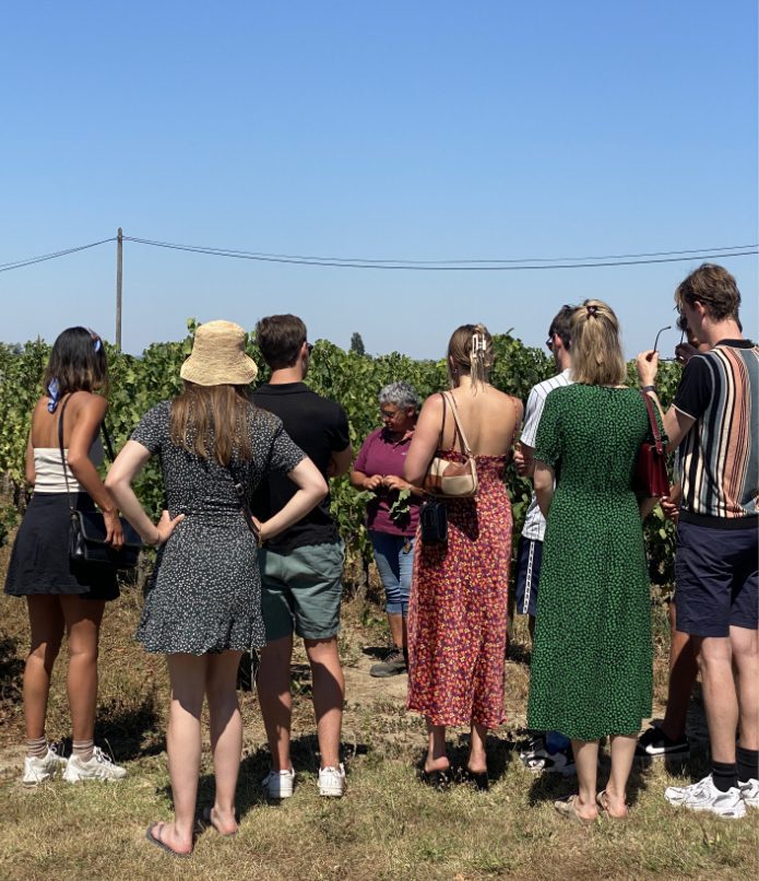 CHATEAU BEL AIR LA ROYERE Degustation Vin Gironde Les Coulisses De Notre Metier